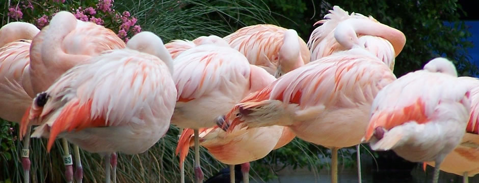 24小时轰炸对方的电话